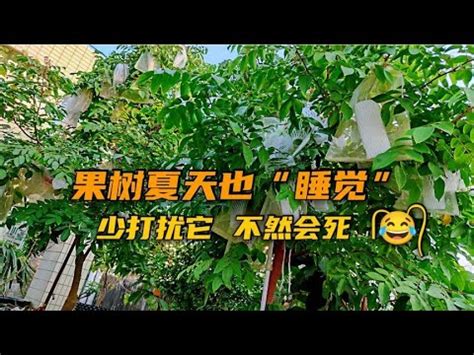 不用常澆水的果樹|這8種植物，不用勤澆水就能活